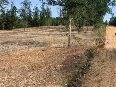 20 Acre Split In Beautiful Georgia Farm For Sale By Owner In Georgia