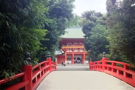 8月の氷川神社｜⛩武藏一宮氷川神社｜埼玉県さいたま市大宮区 八百万の神