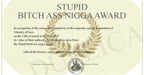 Stupid Bitch Ass Nigga Award