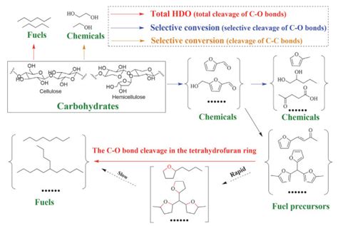 Activation Cleavage Of CO CC Bonds During Biomass Conversion