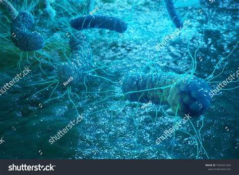 3d Rendering Enterobacterias Gram Negativas Proteobacteria Stock