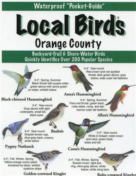 Local Birds Of Orange County Laminated Fold Out Guide