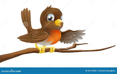 Robin Bird On Branch Pointing Stock Vector Image 24113205