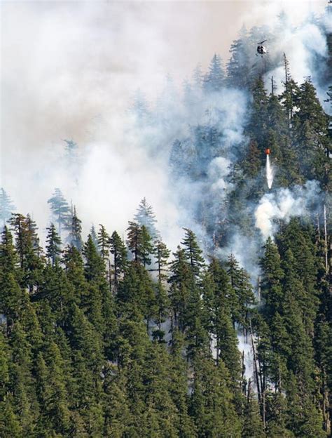 Photos Beachie Creek Fire Burns In Opal Creek Wilderness