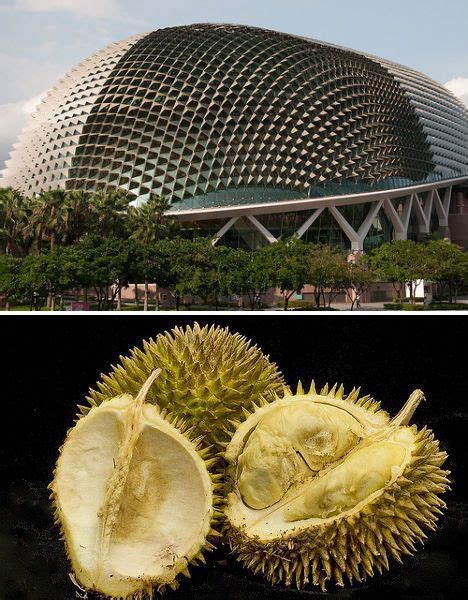 Incredibly Leaf Like 12 Bio Inspired Plant Based Designs Futuristic Architecture Biomimicry