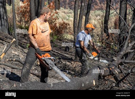 Las Secuelas De Los Incendios Forestales En La Isla Evia Uno De Los