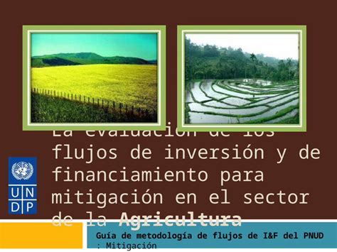 Ppt La Evaluaci N De Los Flujos De Inversi N Y De Financiamiento Para