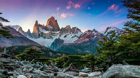 Day Adventure Trip To Patagonia Say Hueque