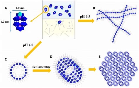 Schematics Of The Synthesis And Self Assembly Process Of Single POM