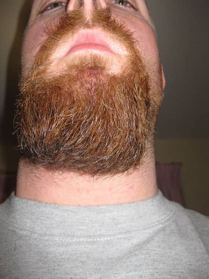 Curling Beard Beard Board