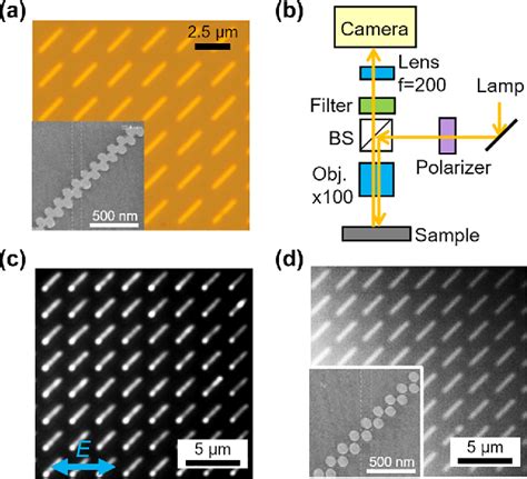 Figure From Far Field Optical Imaging Of Topological Edge States In