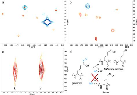 Multiplicity Edited 1 H 13 C HSQC NMR Spectra Show The Formation Of E