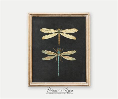 Dragonfly Decor, Decor Print, Decor Printable, Prints Wall Art, Black Background Prints, Vintage ...