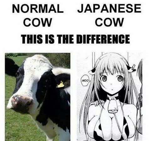 Cow Girls Touch The Cow Know Your Meme