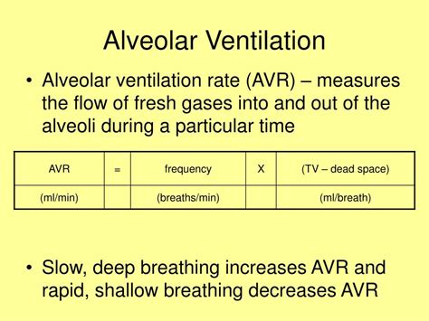 Ppt Respiratory System Powerpoint Presentation Free Download Id 4247735