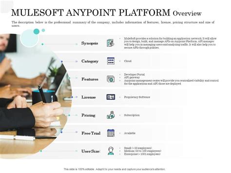 Mulesoft Anypoint Platform Overview Application Interface Management