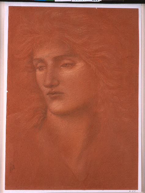 Study Of A Female Head Drawing By Sir Edward Burne Jones Fine Art America