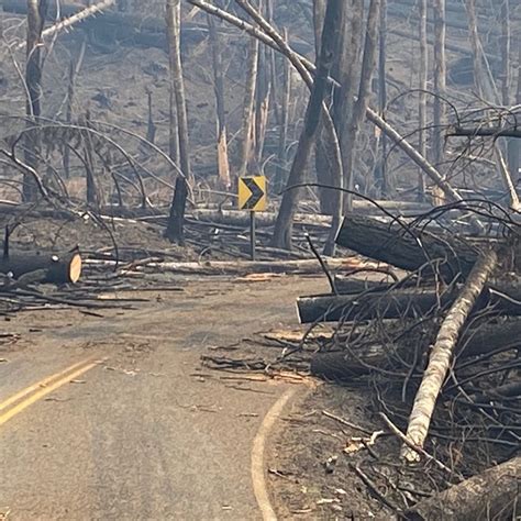 Photos The Aftermath Of Beachie Creek Riverside Fires Kmtr