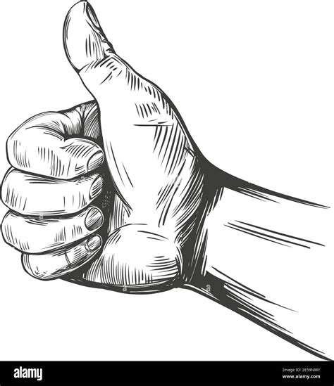 Like And Dislike Thumbs Up Sign Icon Hand Drawn Vector Illustration