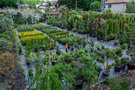 Záhradníctvo Garden Centrum Záhradníci