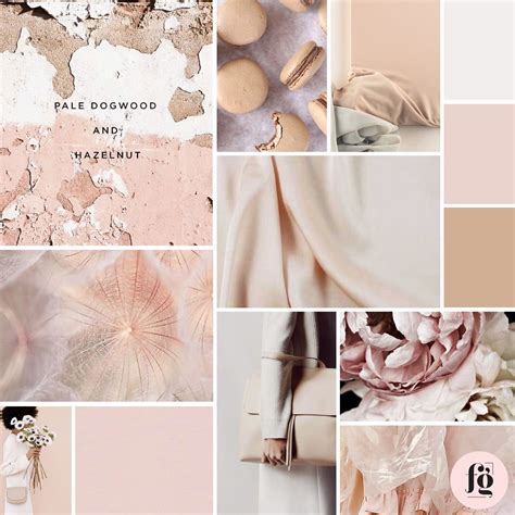 Бежево Розовый Цвет - COLLECTION-DESIGN.RU