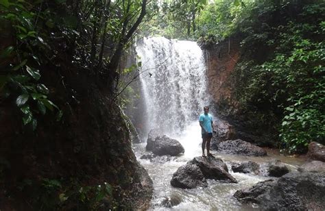 Top 10 Famous Waterfalls in Goa That You Must visit in 2024