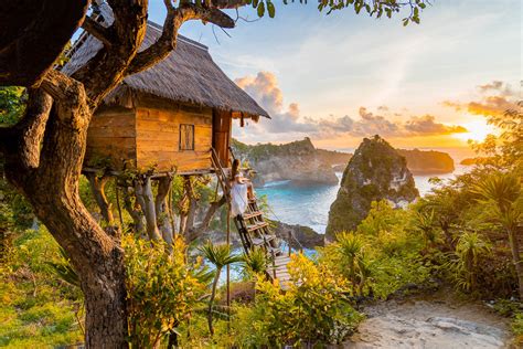 Tree House Nusa Penida Surga Tersembunyi Di Pulau Bali