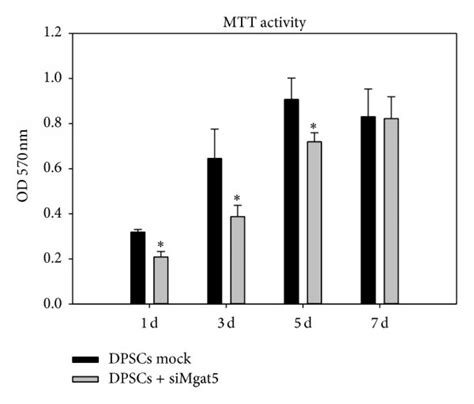 Mgat5 Mgat3 MRNA Expression And GnT V GnT III Protein Expression In