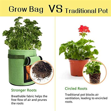 5 Best Potato Growing Containers – Gardenia Organic