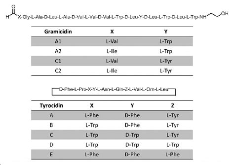 Components of tyrothricin according to Ph. Eur. | Download Scientific Diagram