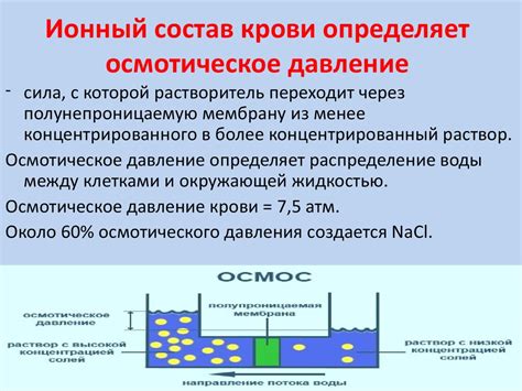 Физиология системы крови. Физико-химические свойства крови ...