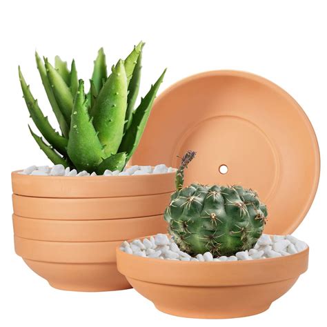 Buy Terra Cotta Pots Laergin 6 43 Inch Shallow Terra Cotta Clay Pots