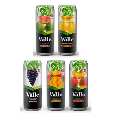 Néctar de Frutas Del Valle Lata 290 ml unidade