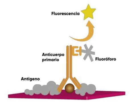 Anticuerpos Neutralizantes y su relación con la Inmunización Post