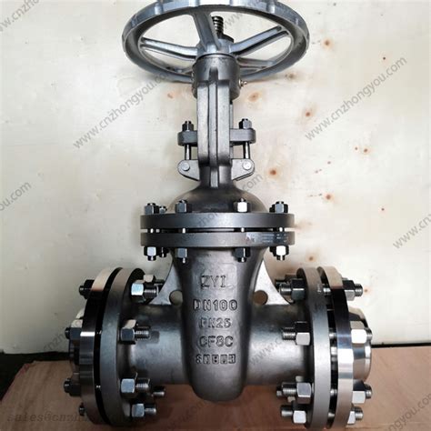 Zyi Gate Valve Dn Pn Astm A Cf C Body Ss Trim Tongue