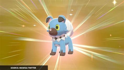 How To Evolve Rockruff Here Is All You Need To Know About The Rock