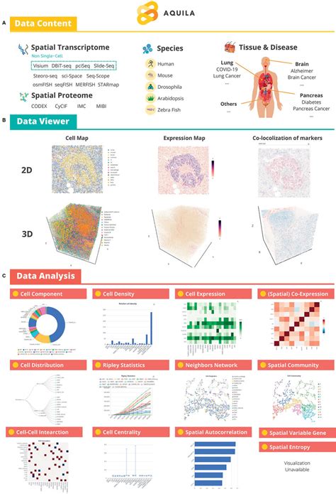 Schematic Design Of Aquila A Various Types Of Spatial Omics Datasets