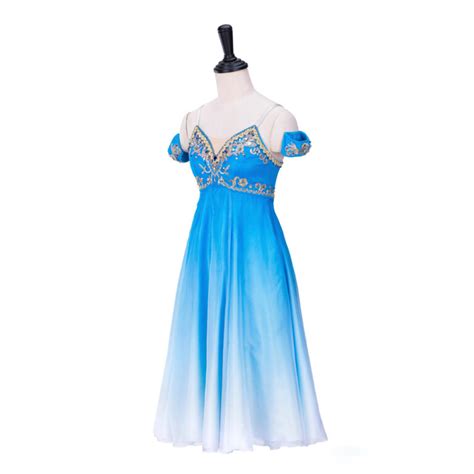 Professional Romantic Ballet Dress - Arabesque Life