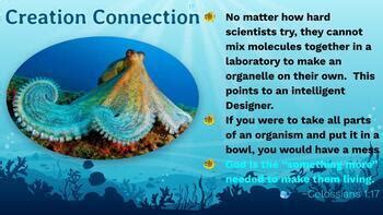 Apologia Marine Biology Module By Winona Allaire Tpt