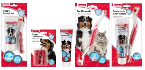 How to Use Beaphar Toothpaste for Healthy Teeth - Healthy Pet Guide