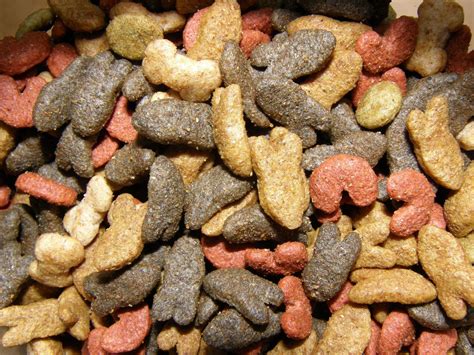 Assorted Dog Food Close-Up Free Stock Photo | FreeImages 