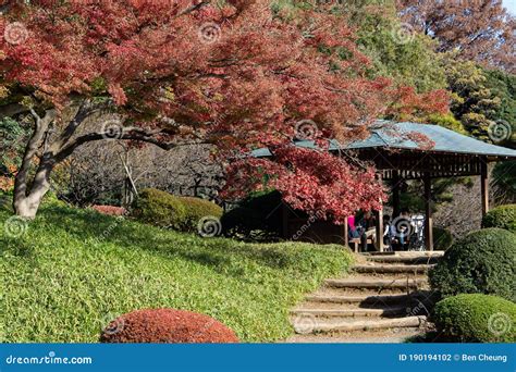 Autumn Leaves in Shinjuku Gyoen National Park Stock Photo - Image of ...