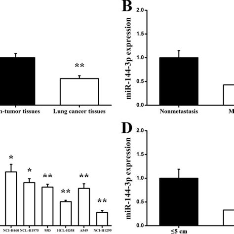 Expression Levels Of MiR 144 3p In Lung Cancer Tissues And Various Lung