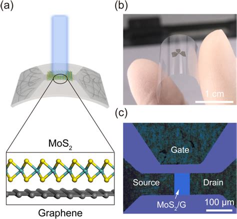 Structure Of The Flexible Mos G Photodetector A Schematic