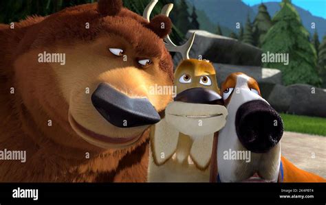 BOOG, ELLIOT, OPEN SEASON 2, 2008 Stock Photo - Alamy