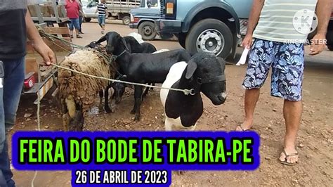 Caprinos E Ovinos Na Feira De Animais De Tabira PE Dia 26 De Abril De