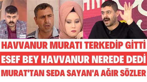 HAVVANUR MURATI TERKEDİP GİTTİ ESEF BEY KIZINI ARIYOR SEDA SAYAN ŞOKE