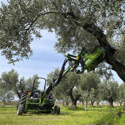 Vibreur Arboricole Olives Tr Sicma De Noix De P Can De