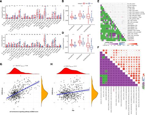 Frontiers Establishment Of Three Heterogeneous Subtypes And A Risk