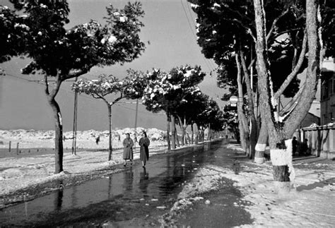 Black And White Photograph Of People Walking Down The Street With Trees